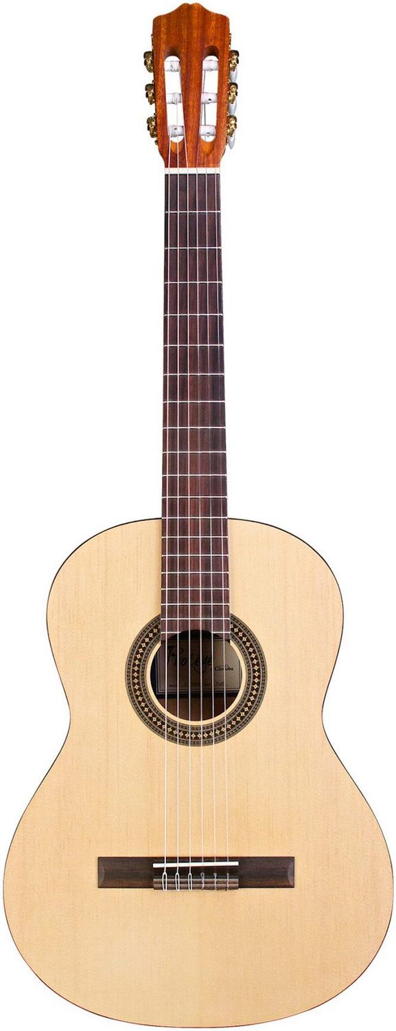 Classical (Nylon String) Acoustic Guitar Rental