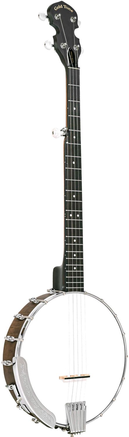 5-String Banjo Rental