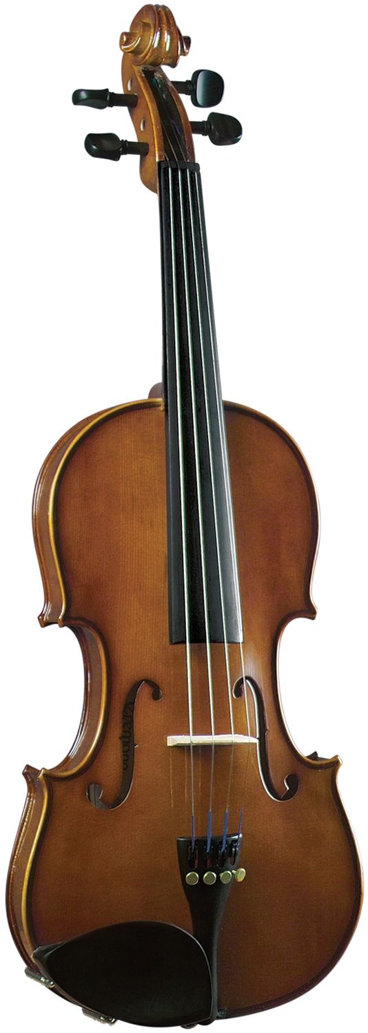 Fiddle Rental
