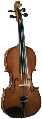 Fiddle Rental