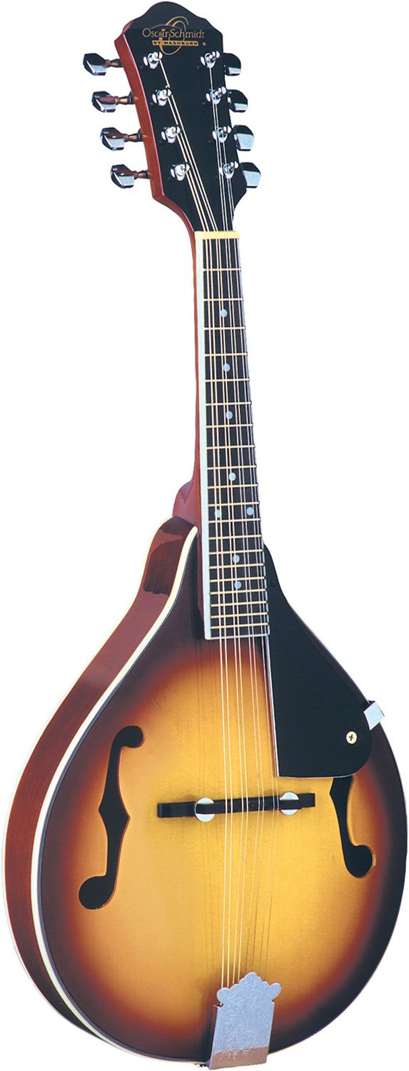 Mandolin Rental
