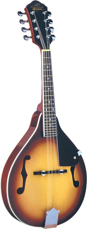 Mandolin Rental