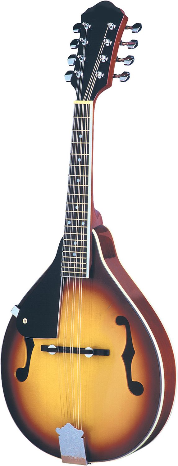 Left-Handed Mandolin Rental