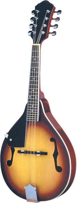Left-Handed Mandolin Rental