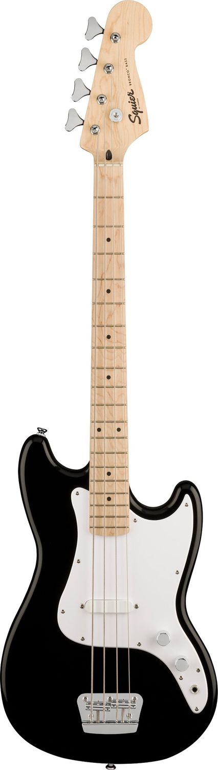 Electric Bass Guitar Rental