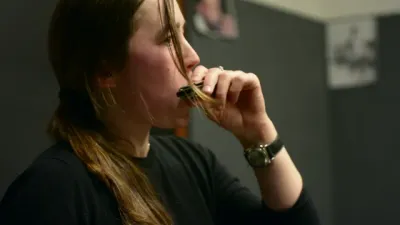 Harmonicas
