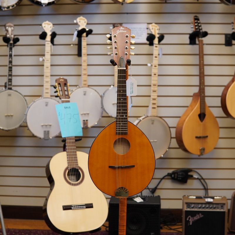 Gold Tone GM-10: Frypan Mandolin with Case