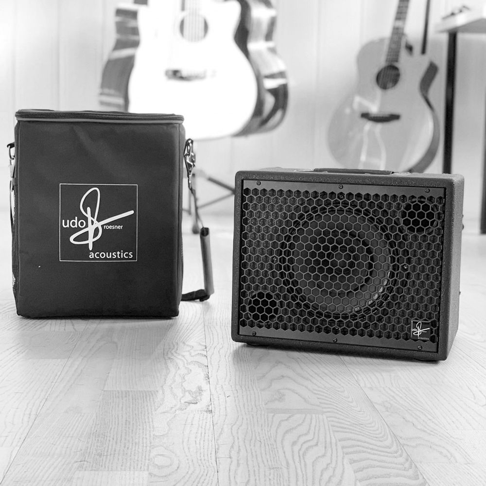 Udo Roesner Amplifier Padded Case Special Order