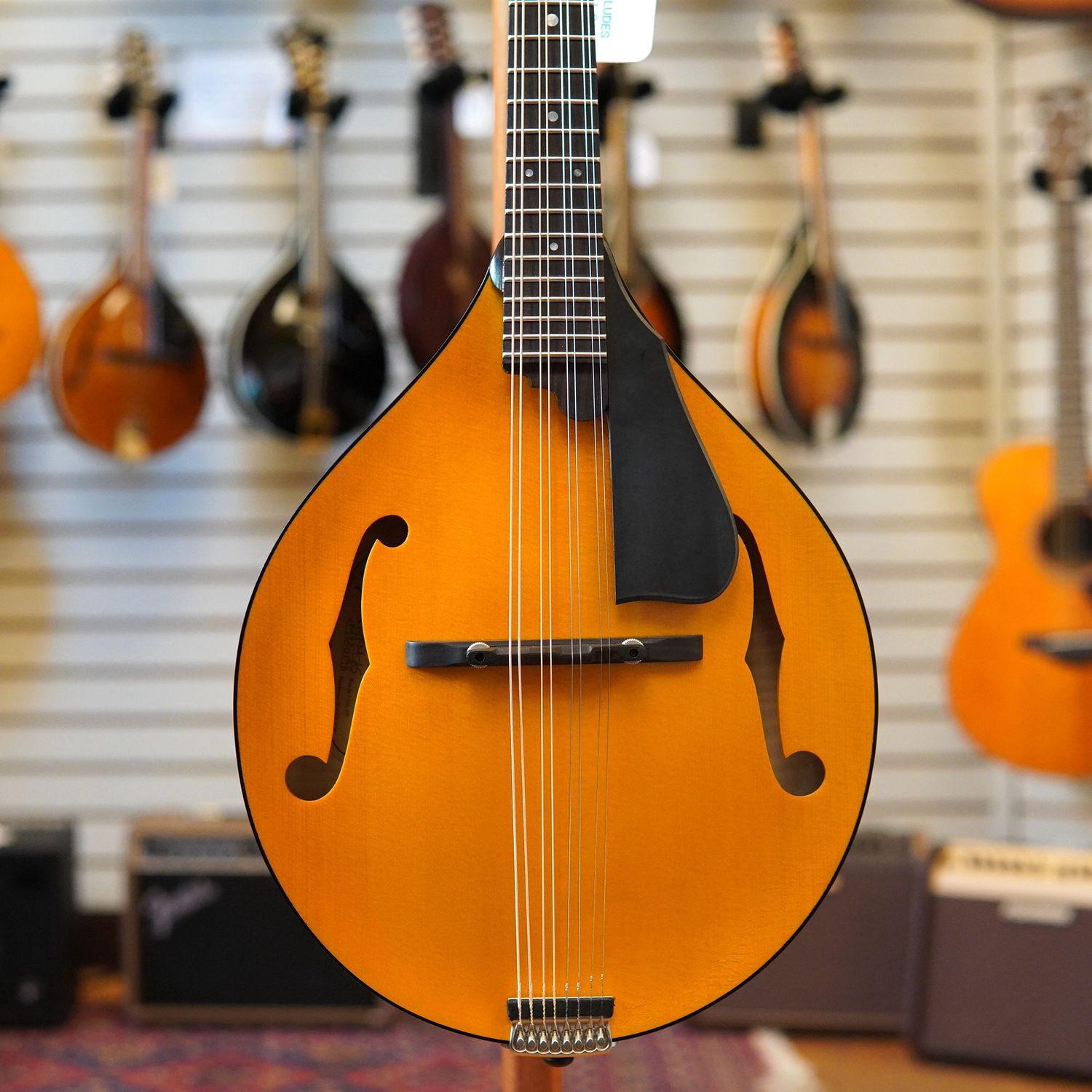 Northfield NFM-A5 Model M Engelmann Spruce/Figured Maple A-Style Mandolin Amber Top w/Hard Case