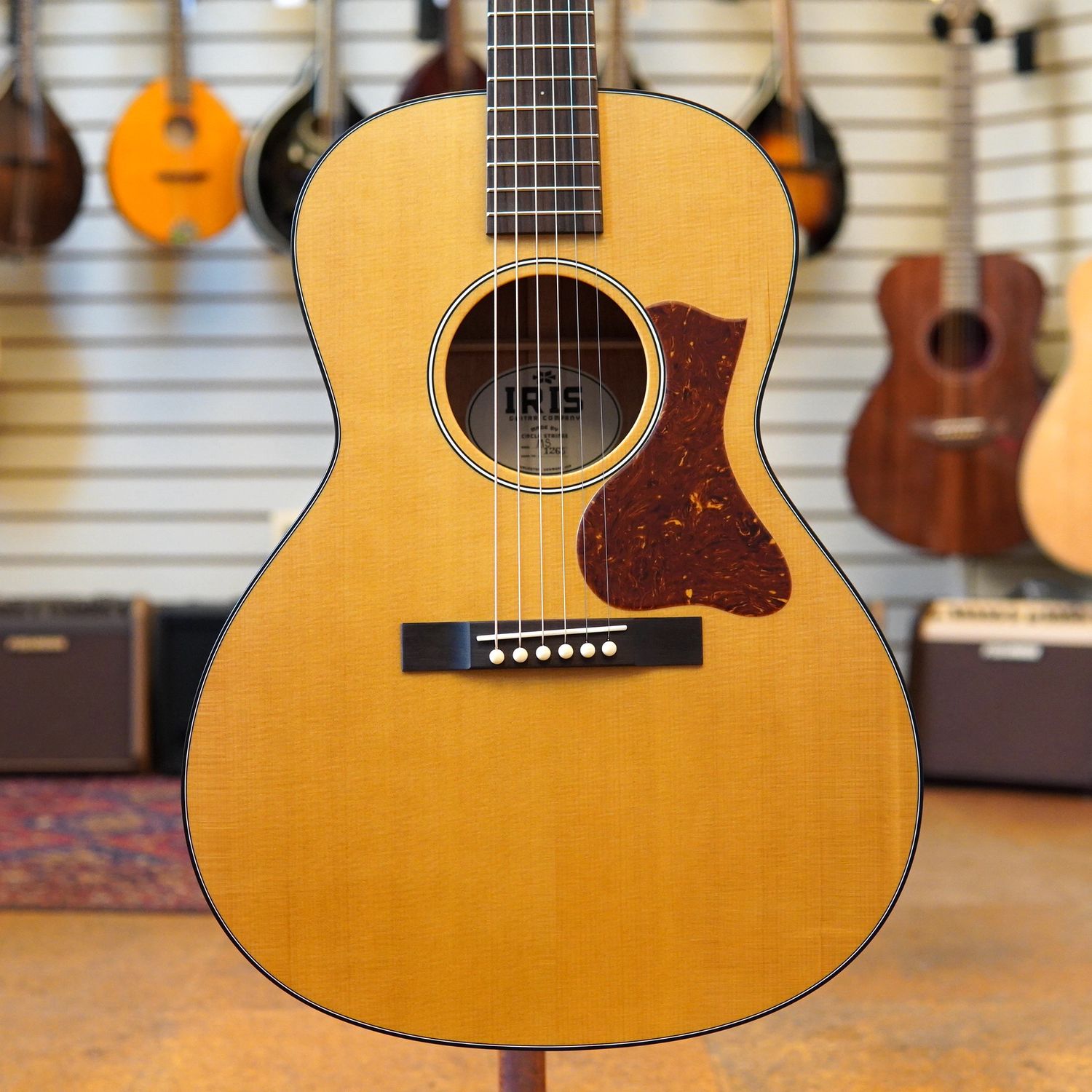 Iris MS-00 Sitka Spruce/Mahogany Acoustic Guitar Natural w/Hard Case