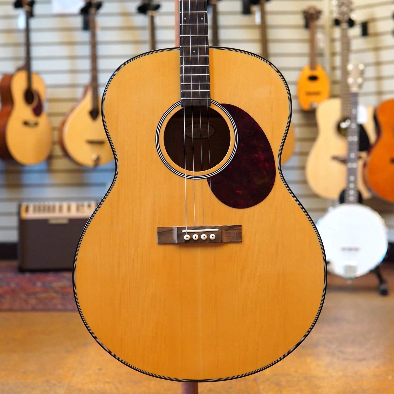 Gold Tone TG-10 Tenor Guitar 2021 w/Padded Gig Bag