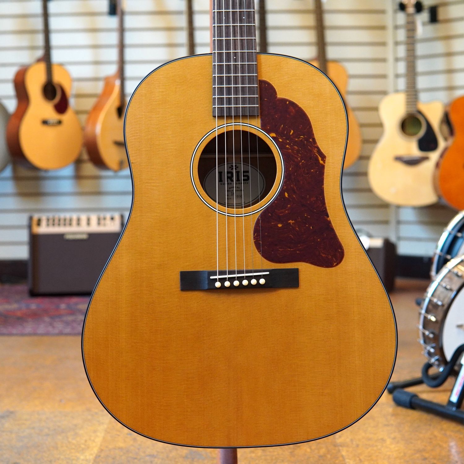 Iris Guitars DF Model Sitka Spruce/Mahogany Slope Shoulder Dreadnought Acoustic Guitar w/Hard Case