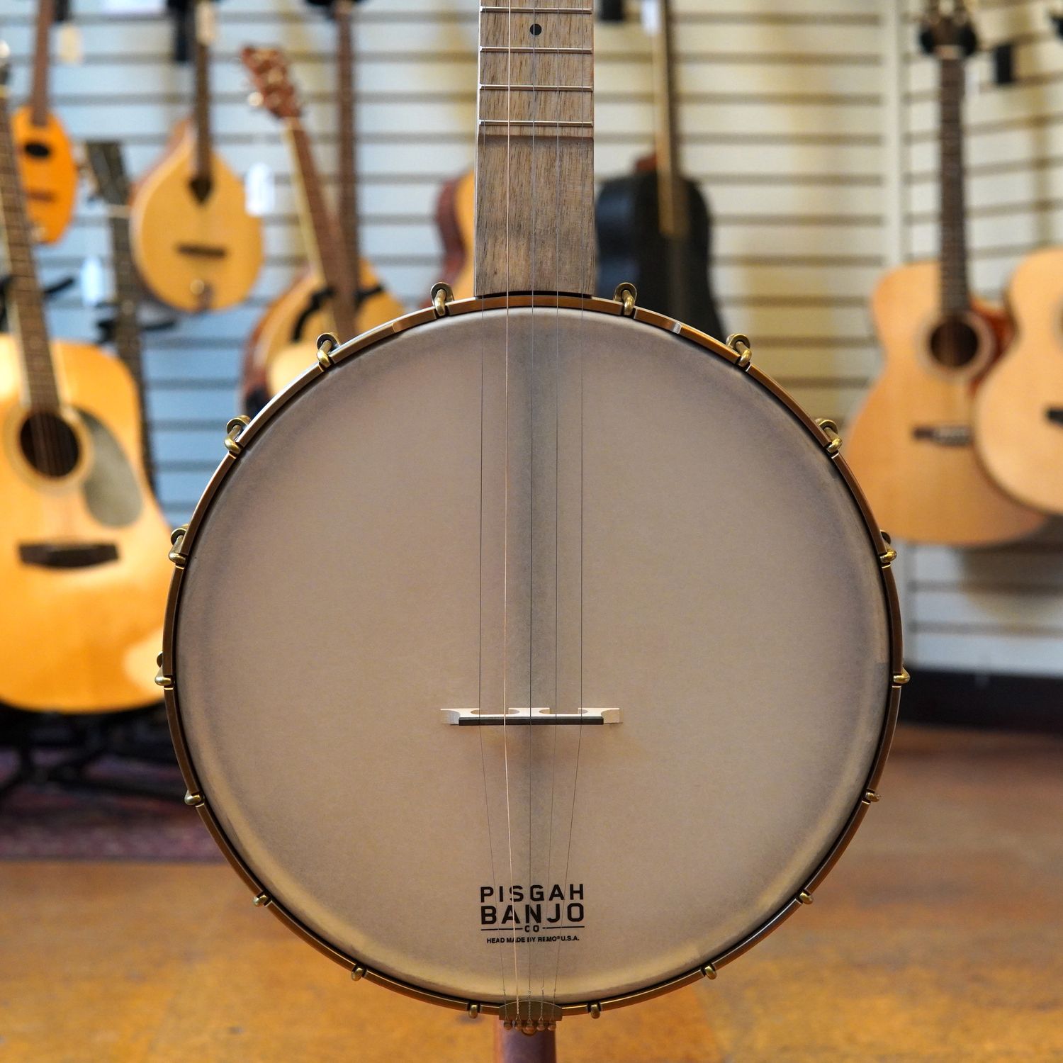 Pisgah Possum 12&quot; Open Back Banjo Walnut Standard Scale w/Padded Gig Bag