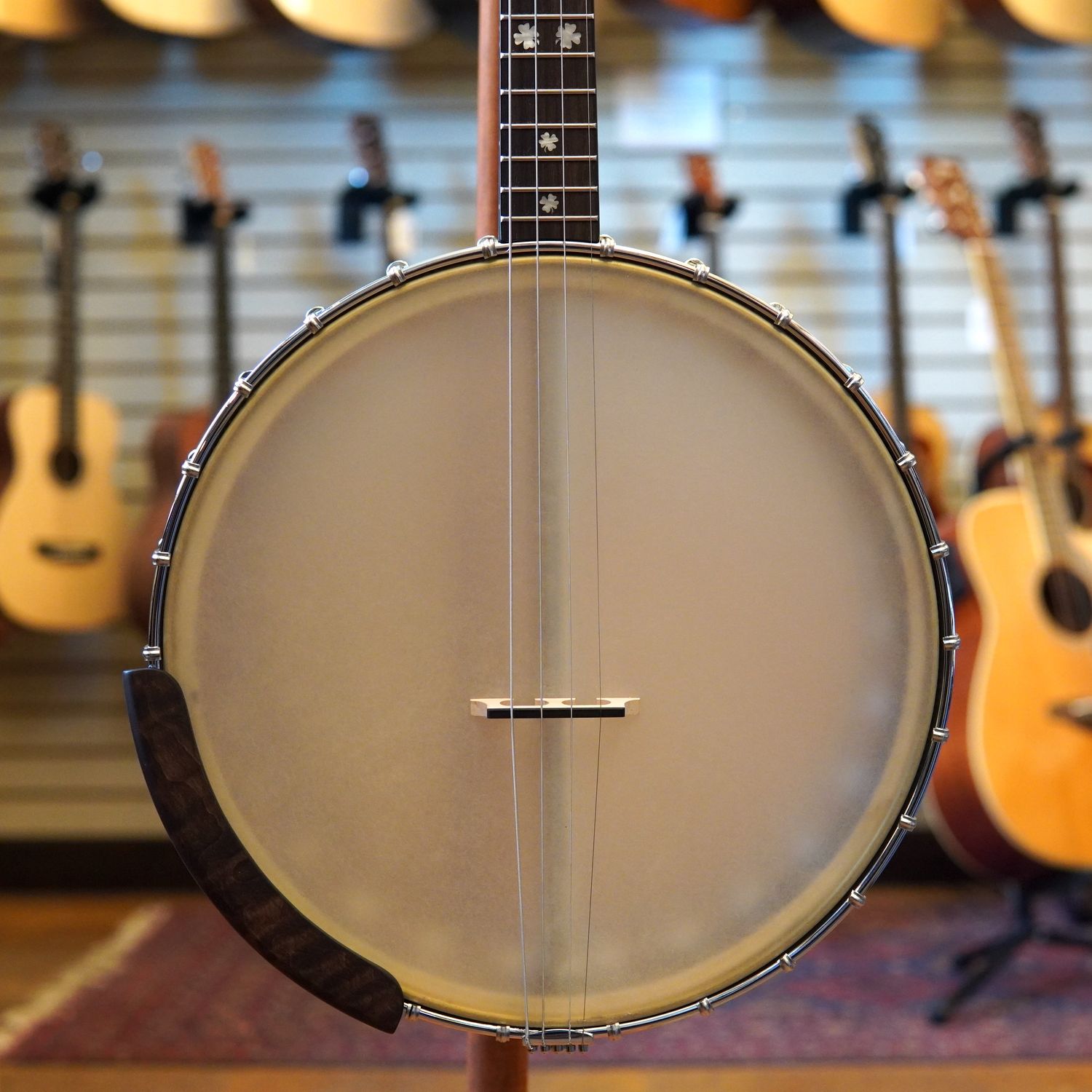 Gold Tone IT-17 Irish Tenor Banjo w/Padded Gig Bag
