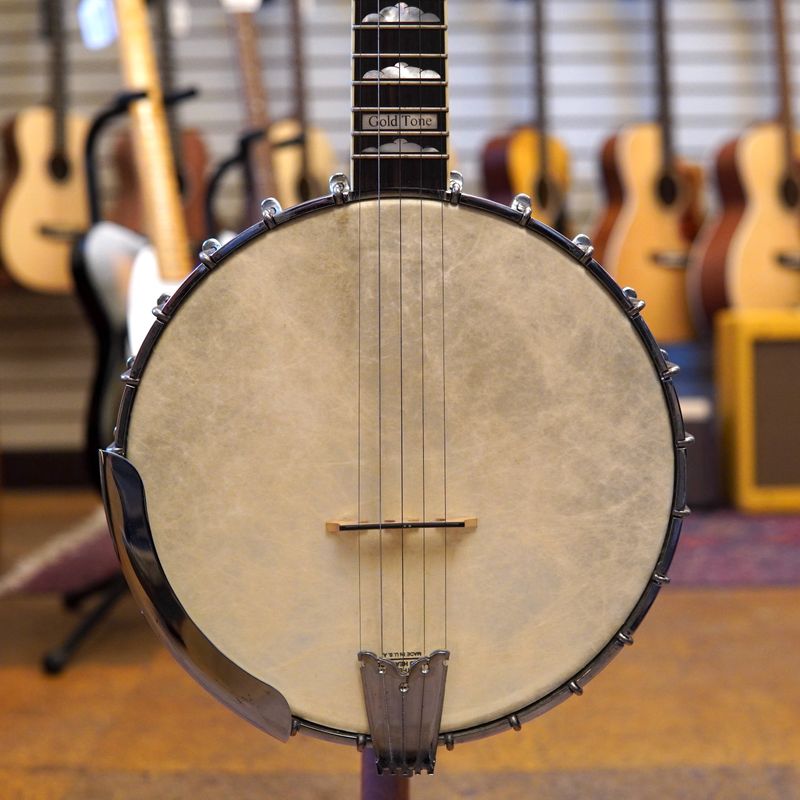 Gold Tone Mastertone WL-250 White Ladye Banjo 2002 w/Original Hard Case