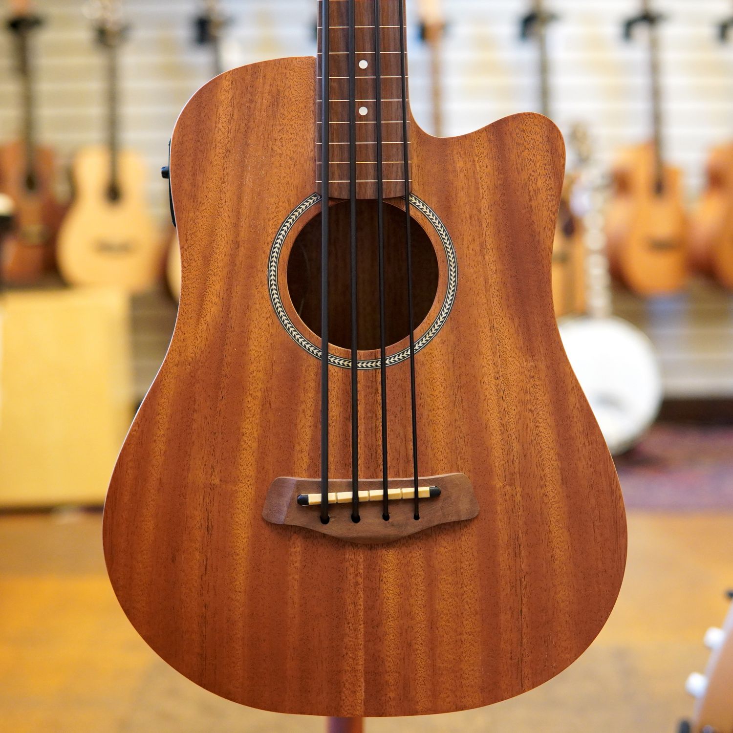 Gold Tone M-BassFL 23" Scale Fretless Acoustic-Electric MicroBass w/Padded Gig Bag