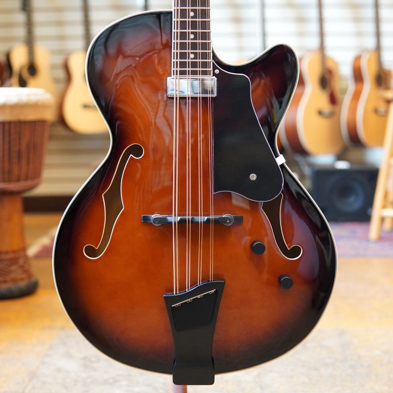 Gold Tone Mandocello Tobacco Sunburst w/Pickup, Hard Case