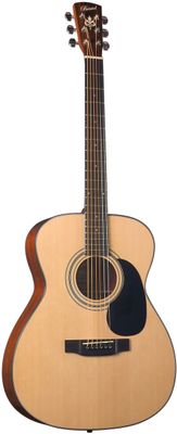 Steel String Acoustic Guitar Rental