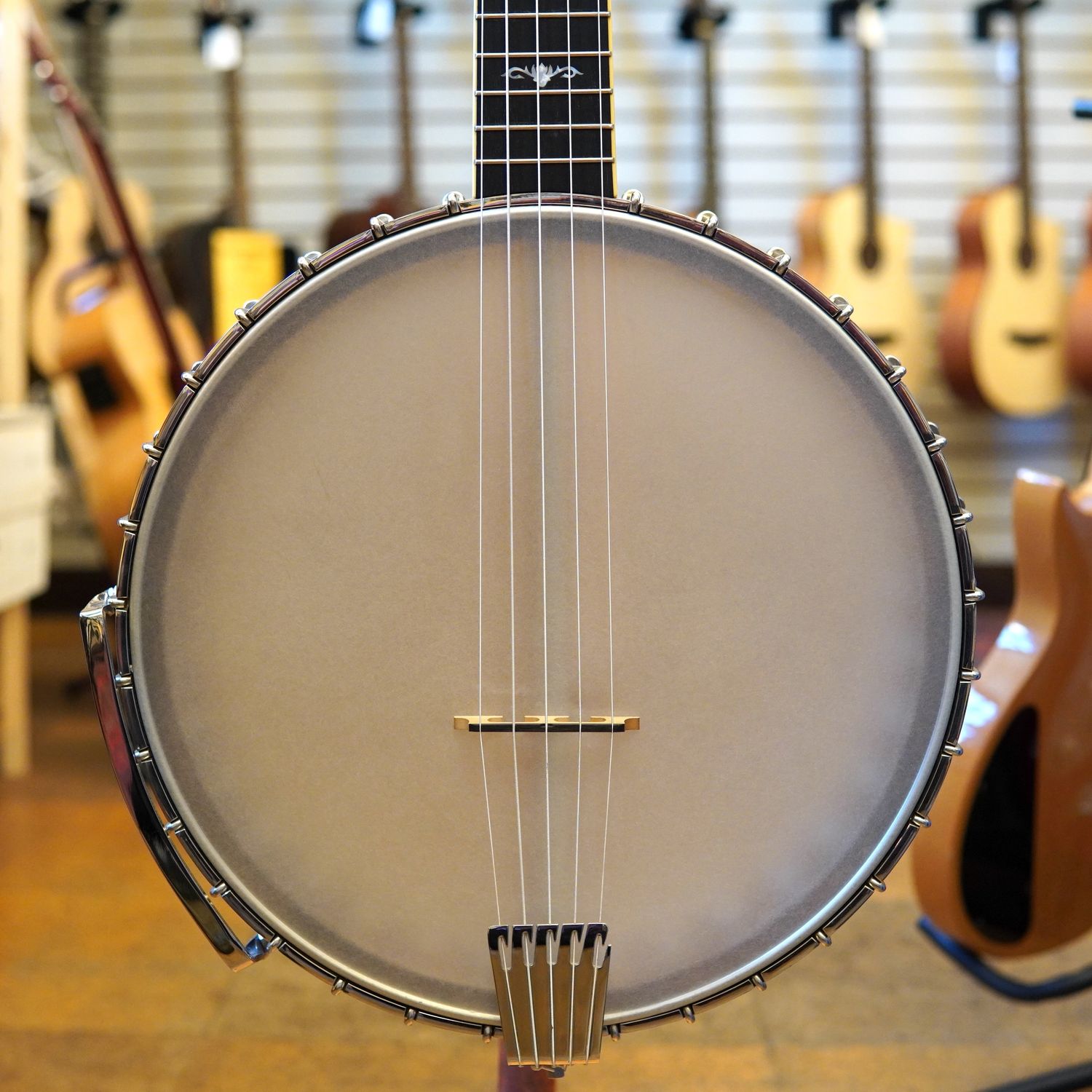 Gold Tone CEB-5 5-String Cello Banjo 2016 w/Hard Case