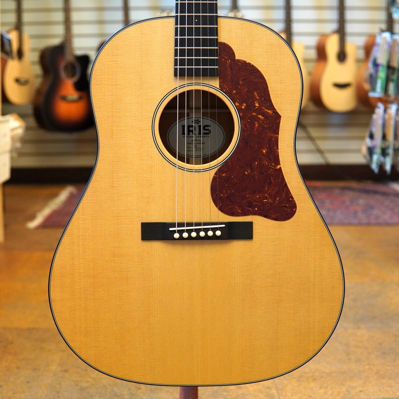 Iris Guitars DF Model Dreadnought Acoustic-Electric Guitar Natural w/K&amp;K Pickup, Hard Case