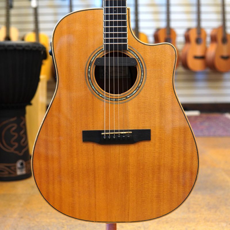 Larrivee (Vancouver, Canada) DV-05 Acoustic-Electric Guitar 2001 Natural w/Original Hard Case