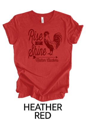 TMS _ BELLA+CANVAS ® Unisex Heather CVC Short Sleeve Tee _ Rise and Shine