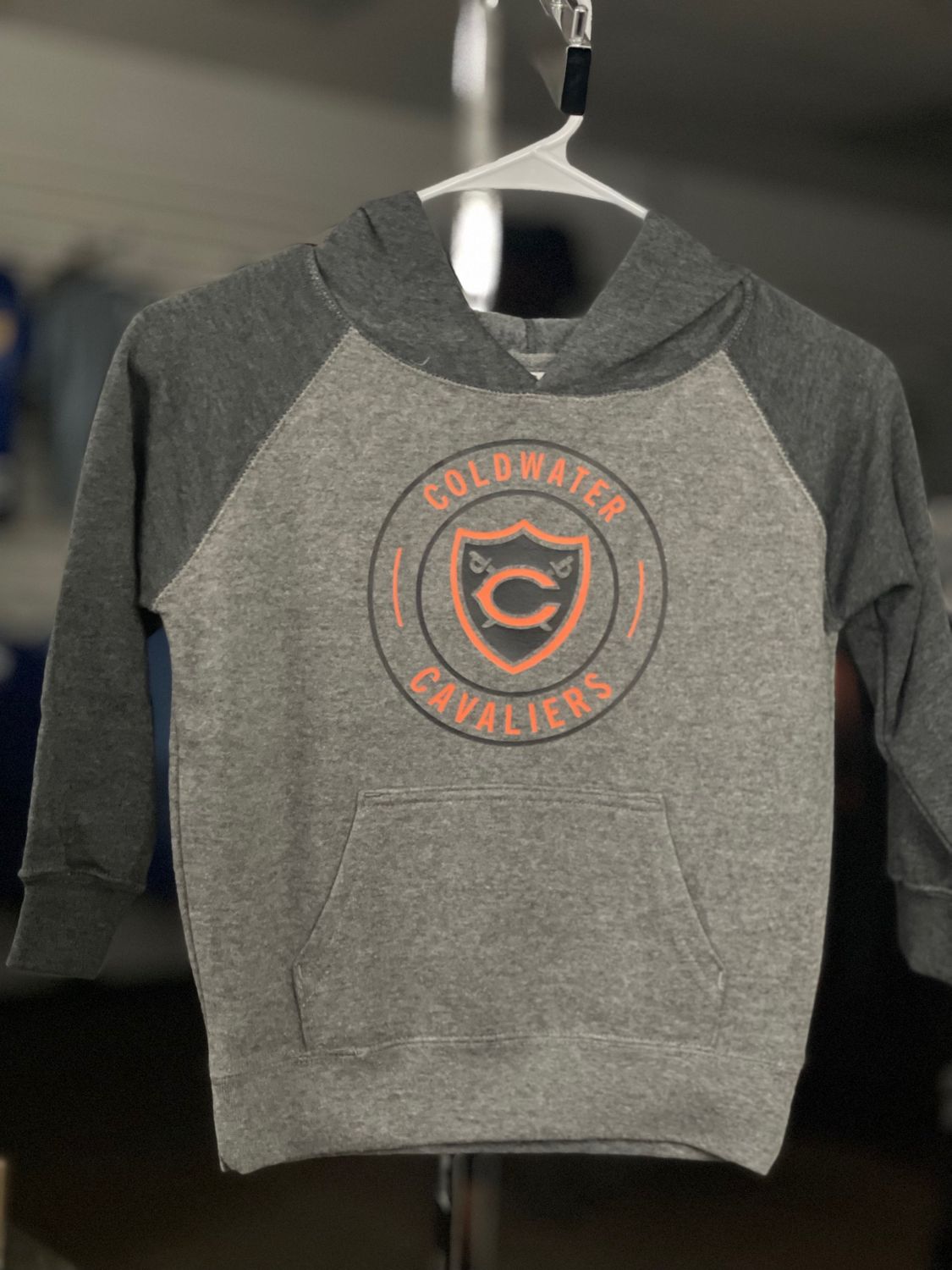 Independent Trading Co. Toddler Special Blend Hooded Raglan Sweatshirt PRM10TSB Nickel 5/6