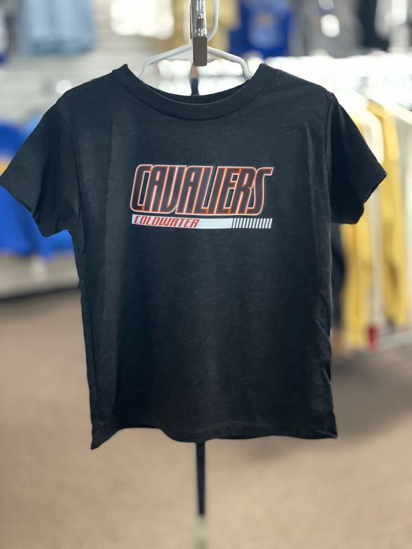 BELLA+CANVAS® Toddler Triblend Short Sleeve Tee - BC3413T  - Charcoal Black Triblend - 4T