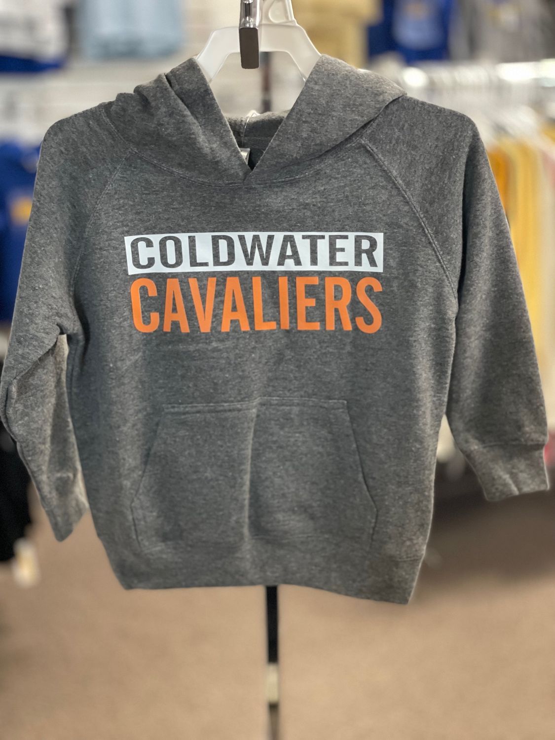 Independent Trading Co. Toddler Special Blend Hooded Raglan Sweatshirt PRM10TSB Nickel 4T