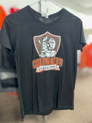 BELLA+CANVAS ® Youth Triblend Short Sleeve Tee. BC3413Y Solid Black Triblend L