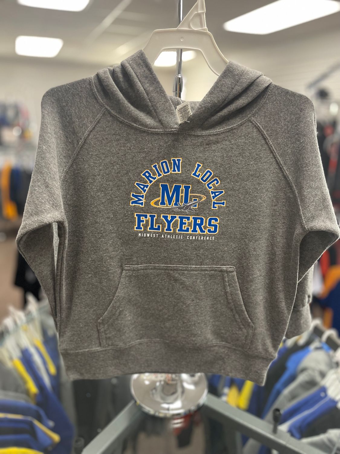 Independent Trading Co. Toddler Special Blend Hooded Raglan Sweatshirt PRM10TSB Nickel 4T