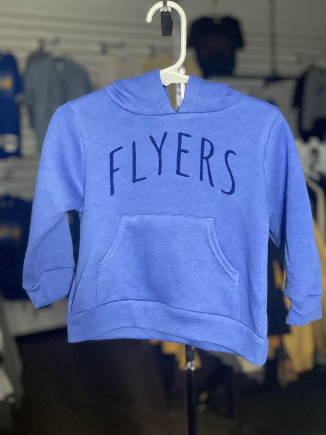 Toddler Sponge Fleece Pullover Hoodie Sweatshirt - 3719T - heather True Royal - 2T - Amatic Arch