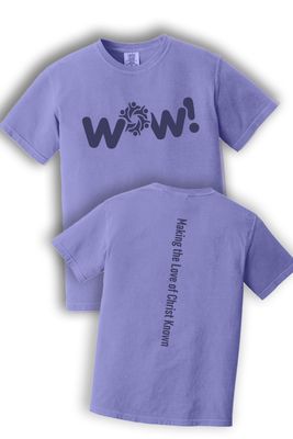 Comfort Colors Heavyweight Ring Spun Tee - 1717 - WOW
