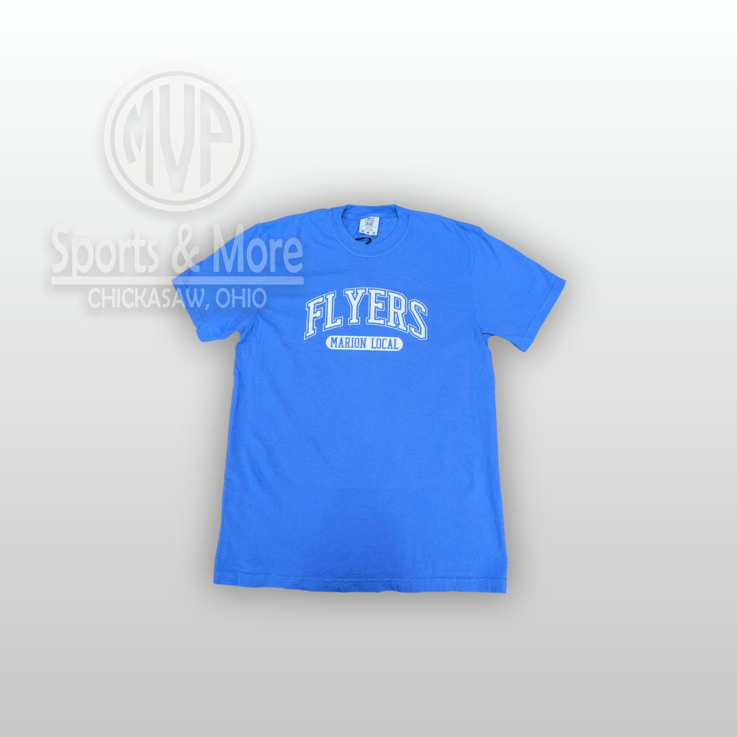 Comfort Colors Heavyweight Ring Spun Tee- 1717 -SEPARATED ARCH, Size: SMALL