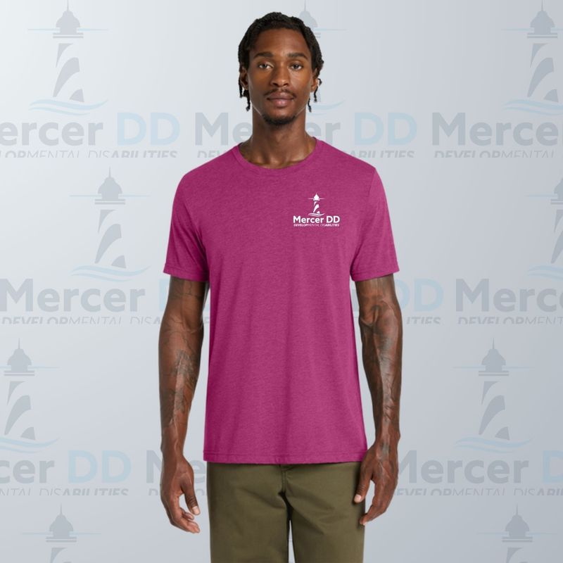 Unisex Triblend T-shirt _ BC3413