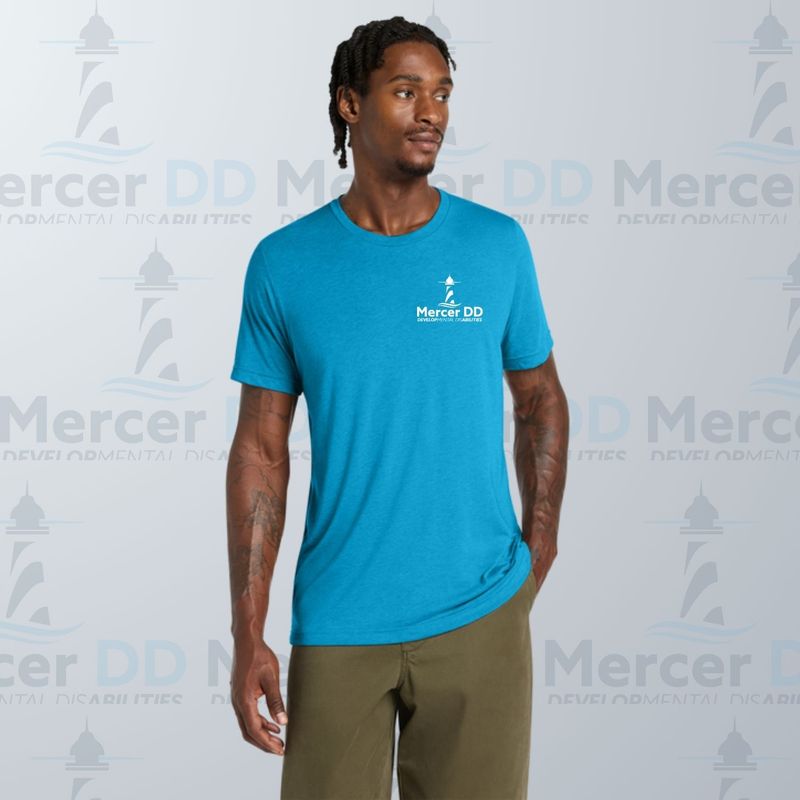 Unisex Triblend T-shirt _ BC3413