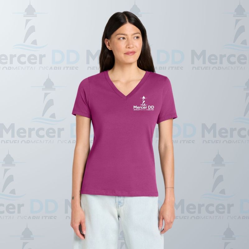 Women’s Relaxed Jersey Short Sleeve V-Neck Tee _ BC6405