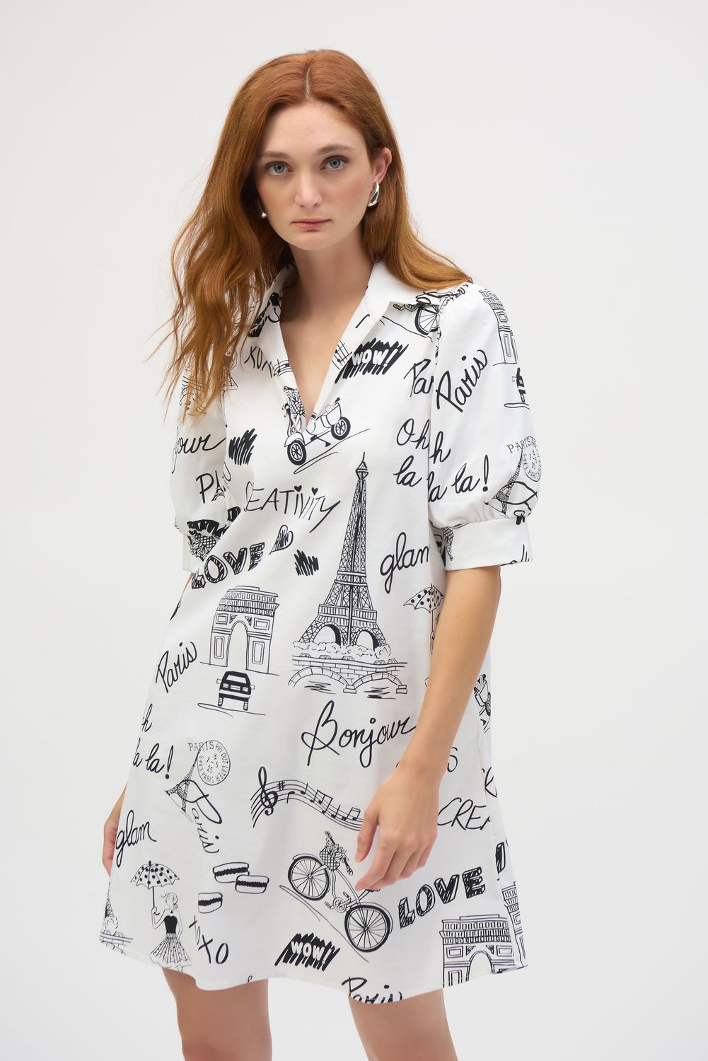 252019 Poplin Conversational Print A-Line Dress