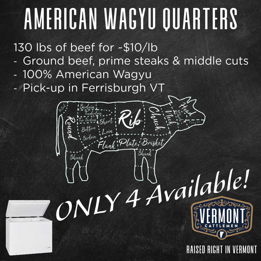 September Quarter Beef LOCAL SALE