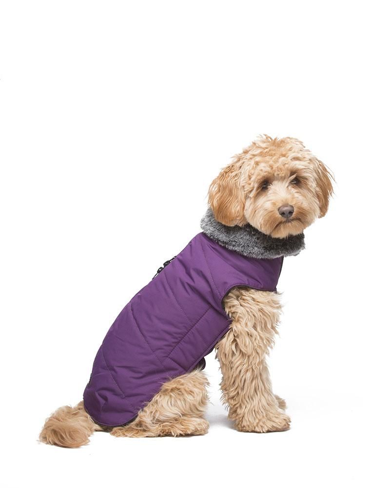 Dog Gone Smart Royal Purple Tamarack Dog Jacket, Size: 20"