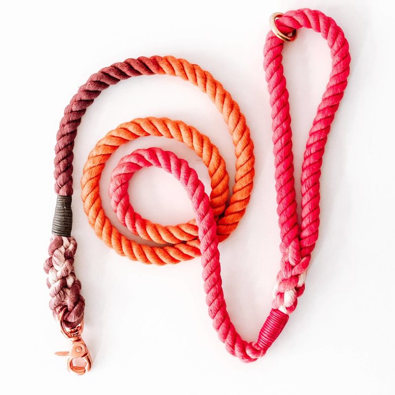 Woof + Wonder Co. Ombre Rope Leash