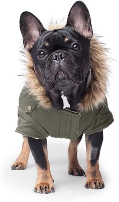 Canada Pooch Army Green Alaskan Army Parka Dog Jacket