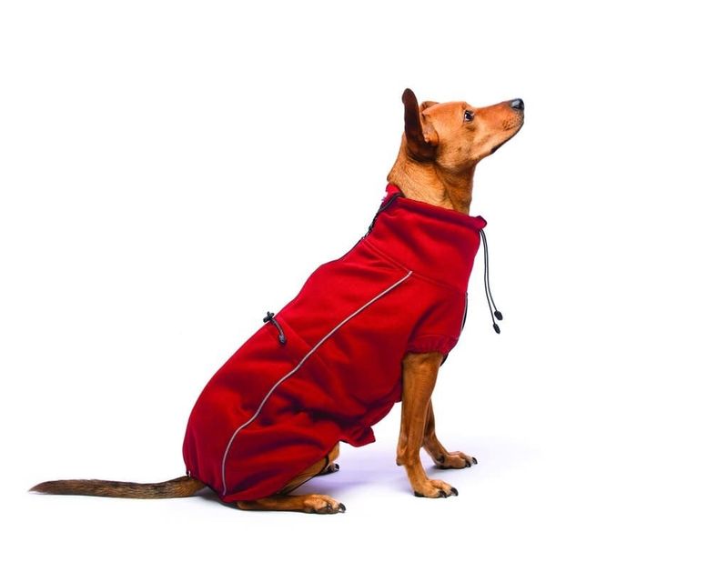 Dog Gone Smart Red Olympia Softshell Dog Sweater 