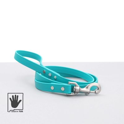 Mimi Green Waterproof Leather Alternative Dog Leash 6-ft