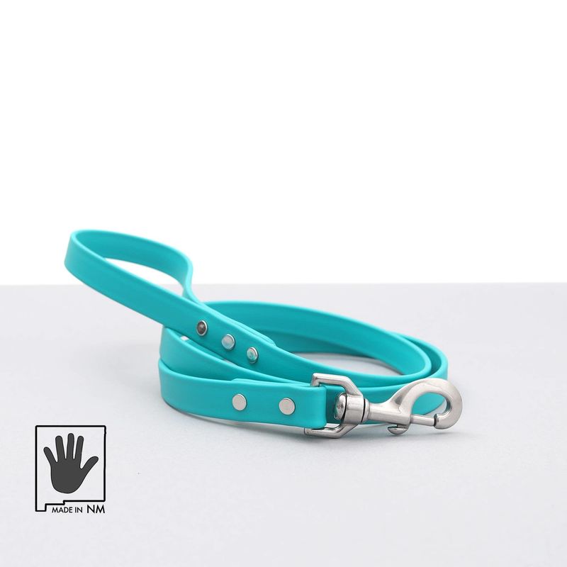 Mimi Green Waterproof Leather Alternative Dog Leash 6-ft