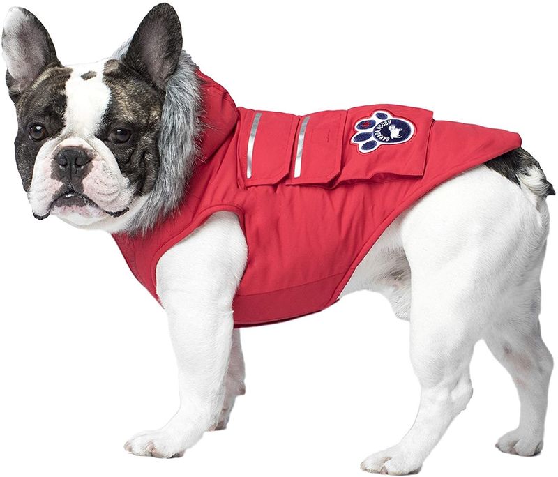 Canada Pooch Red Reflective Everest Explorer Dog Jacket