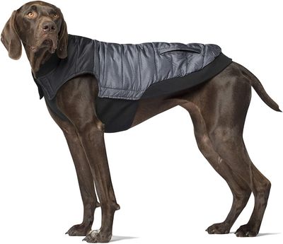 Canada Pooch Grey Pepper Summit Stretch Dog Vest