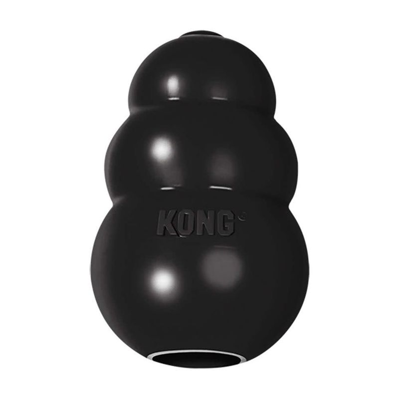 KONG Extreme Interactive Dog Chew Toy