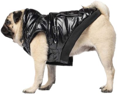 Canada Pooch Black Shiny Puffer Vest Dog Jacket
