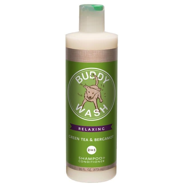 Buddy Biscuits Buddy Wash Green Tea &amp; Bergamot 2-in-1 Dog Shampoo &amp; Conditioner 16-oz